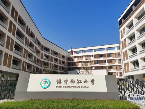 學史力行 岳麓區 推進 七位一體 建設,百姓幸福感在家門口升級